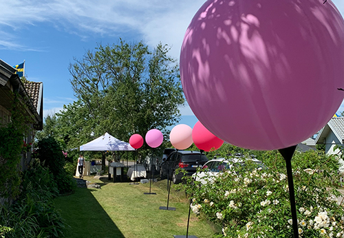 Trädgårdsfest entrén ballonger